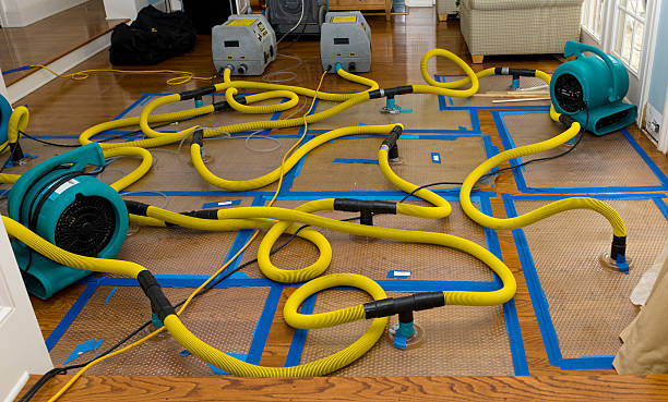 Professional Storm Water Damage Restoration technician working in Mason, TN